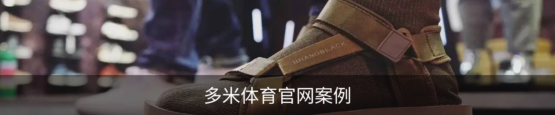 多米体育官网案例